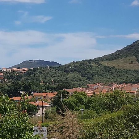 3Amb31 - Studio Pour 3 Personnes Avec Magnifique Vue Sur La Baie Collioure Ngoại thất bức ảnh